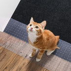 Carpet Protector for Pets 15.7in*3.6FT Cat Scratch Carpet Protector Mat for - Image 7
