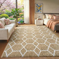 ONASAR Area Rugs for Bedroom Living Room, 4x6 Fluffy Beige and White Throw Rug by ONASAR