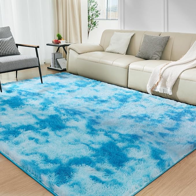 Ultra Soft Rug for Living Room, 4X6 Fluffy Shag Area Rug for Bedroom, Modern by Fairblink