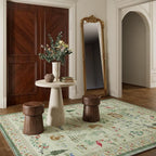 6x9 Area Rugs for Living Room: Washable Rug Vintage Bedroom Rugs Stain - Image 7