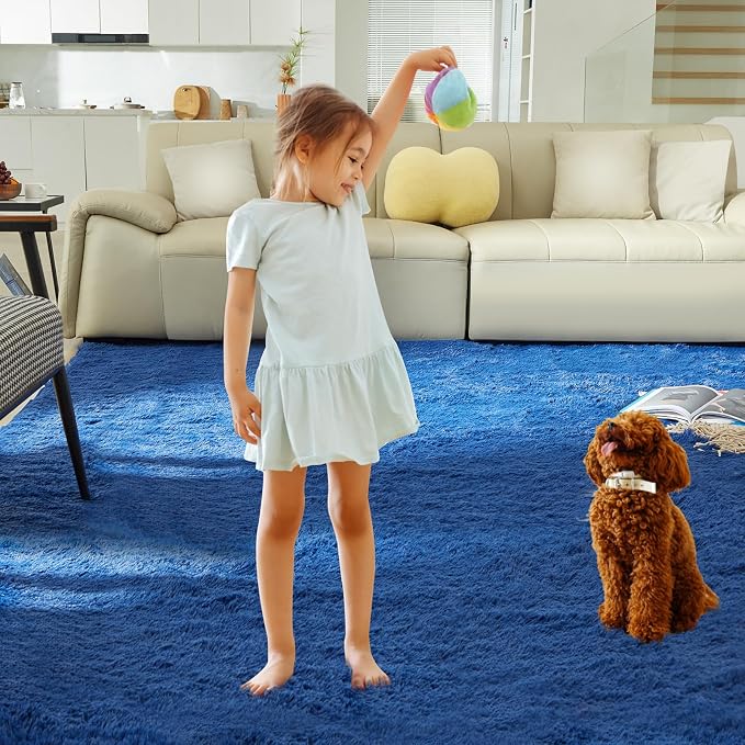 Ultra Soft Rug for Living Room, 4X6 Fluffy Shag Area Rug for Bedroom, Modern - Image 8