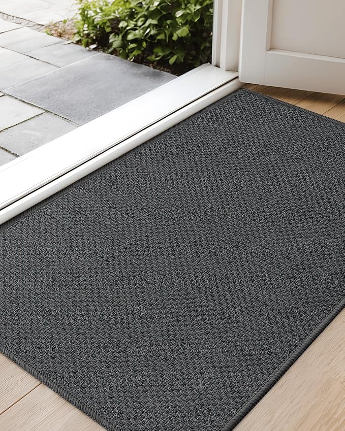 Color&Geometry Ultra-Thin Indoor Door Mat, Washable Doormat by COLORG