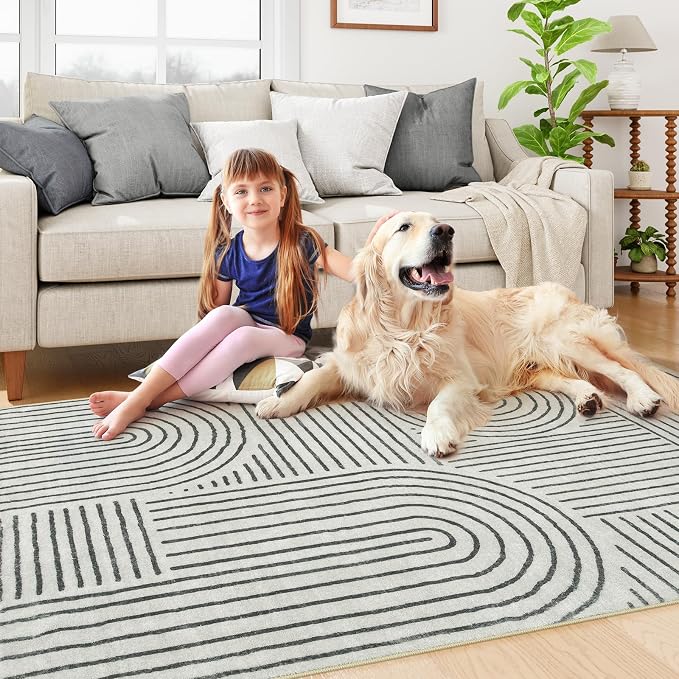 Lahome Abstract Bedroom Rug, Soft 4x6 Rug Ultra-Thin Washable Area Rugs - Image 5