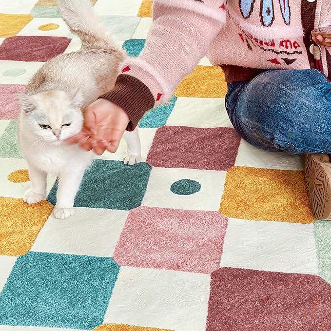 jinchan Macy 3x5 Area Rug for Kids Room Modern Colorful Checkered Diamond - Image 5