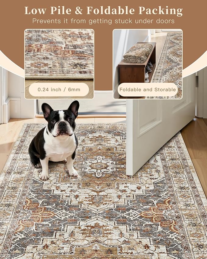 Madane Washable Area Rug 2x3, Small Entryway Rug Non-Slip Vintage Door Mat - Image 6
