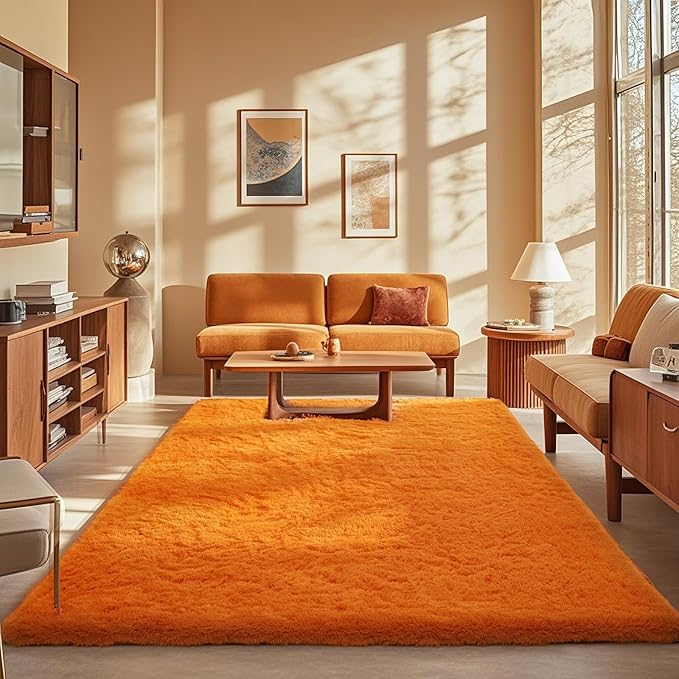 Ophanie Orange Rugs for Living Room Bedroom, 5x8 Fluffy Fuzzy Furry Carpet by Ophanie