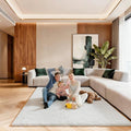 5x7 Area Rugs for Living Room, Large Fluffy Cream White Rugs for Bedroom by Unknown