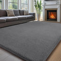Sour Lemon 10x14 Area Rugs for Living Room, Soft Large Area Rug Fluffy Rugs for by SourLemon
