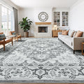 Lessymo Area Rugs 10 x 14 for Living Room, Washable Large Area Rugs Boho Faux by Lessymo