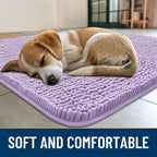 Smiry Dog Door Mat for Muddy Paws 30x20, Absorbent Dirt Trapper, Non-Slip - Image 2