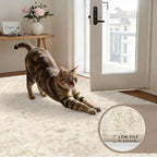 5x7 Area Rugs for Living Room: Vintage Boho Neutral Washable Rug Indoor Soft - Image 7