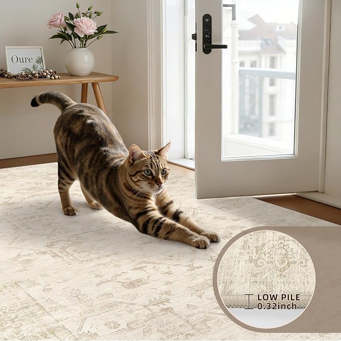 4x6 Area Rugs for Living Room: Vintage Boho Neutral Washable Rug Indoor Soft - Image 7