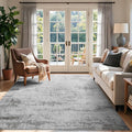 4x6 Ft Area Rugs for Living Room, Soft Non-Slip Washable Rugs Modern Abstract by Cuzwlovita