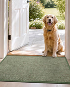 DEXI Ultra Thin Entryway Indoor Door Mat 17x30, Non Slip Rubber Backing Inside - Image 9