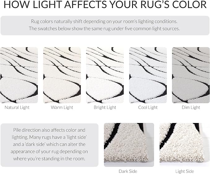 SAFAVIEH Florida Shag Collection Accent Rug - Image 8