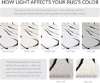 SAFAVIEH Florida Shag Collection Area Rug - Image 9