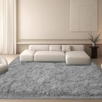 6x9 Area Rugs Living Room, Non-Slip Upgraded Indoor Thick Soft Rug, Modern by Mtandyx