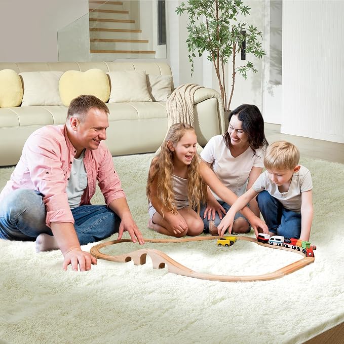 Ultra Soft Rug for Living Room, 4X6 Fluffy Shag Area Rug for Bedroom, Modern - Image 8