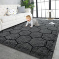 TWINNIS Super Soft Shaggy Rugs Fluffy Carpets, 5x8 Feet, Indoor Modern Plush by TWINNIS