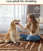 BESTSWEETIE Area Rug 2x4 Rug Machine Washable Non-Slip Low Pile Print Pattern - Image 9