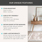 Washable Neutral Farmhouse Large Entryway Rug, 3x4 Area Rugs - Image 7