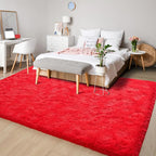 Chicrug Soft Area Rugs for Bedroom Living Room Plush Fluffy Rug 3x5 Feet - Image 11