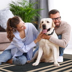 Lahome Enfys Modern Geometric Easy Jute Outdoor Rug, 3x5 Black Indoor Outdoor - Image 6