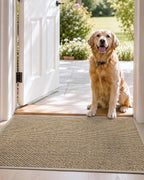 DEXI Ultra Thin Entryway Indoor Door Mat 32x48, Non Slip Rubber Backing Inside - Image 9