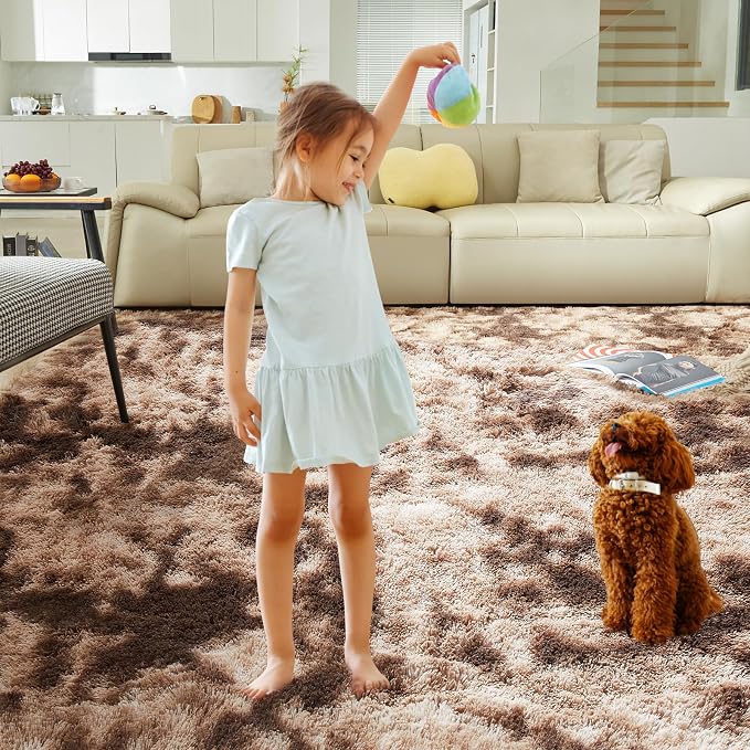 Ultra Soft Rug for Living Room, 6X9 Fluffy Shag Area Rug for Bedroom, Modern - Image 7