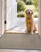 DEXI Ultra Thin Entryway Indoor Door Mat 36x56, Non Slip Rubber Backing Inside - Image 9