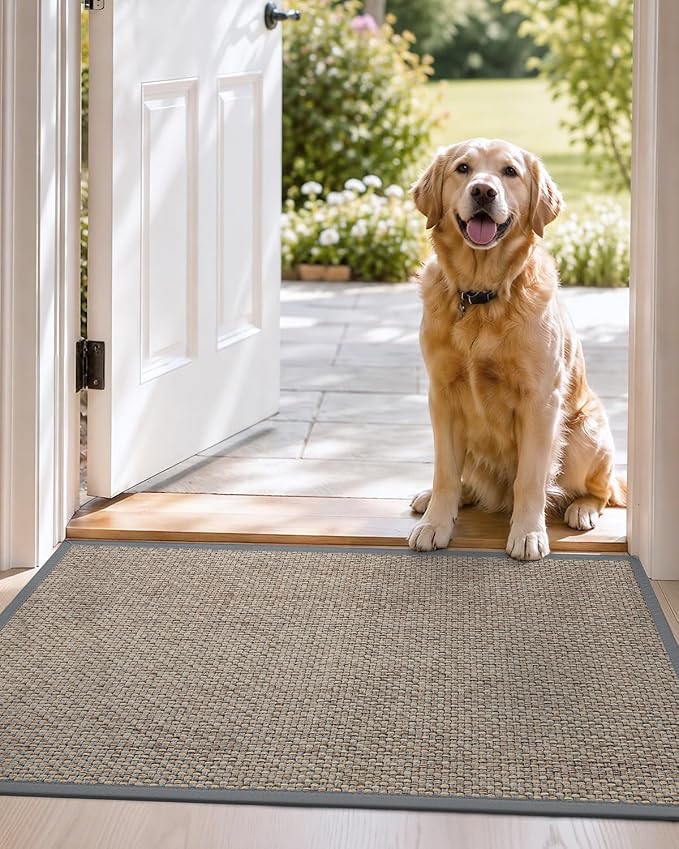 DEXI Ultra Thin Entryway Indoor Door Mat 36x56, Non Slip Rubber Backing Inside - Image 9