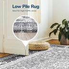 Lessymo 4 x 6 Area Rugs for Living Room- Machine Washable Area Rugs Boho Faux - Image 4
