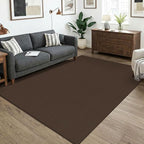 KOZYFLY Washable 5x7 Living Room Rug, Non Slip Woven Area Rugs, Braided Floor by KOZYFLY