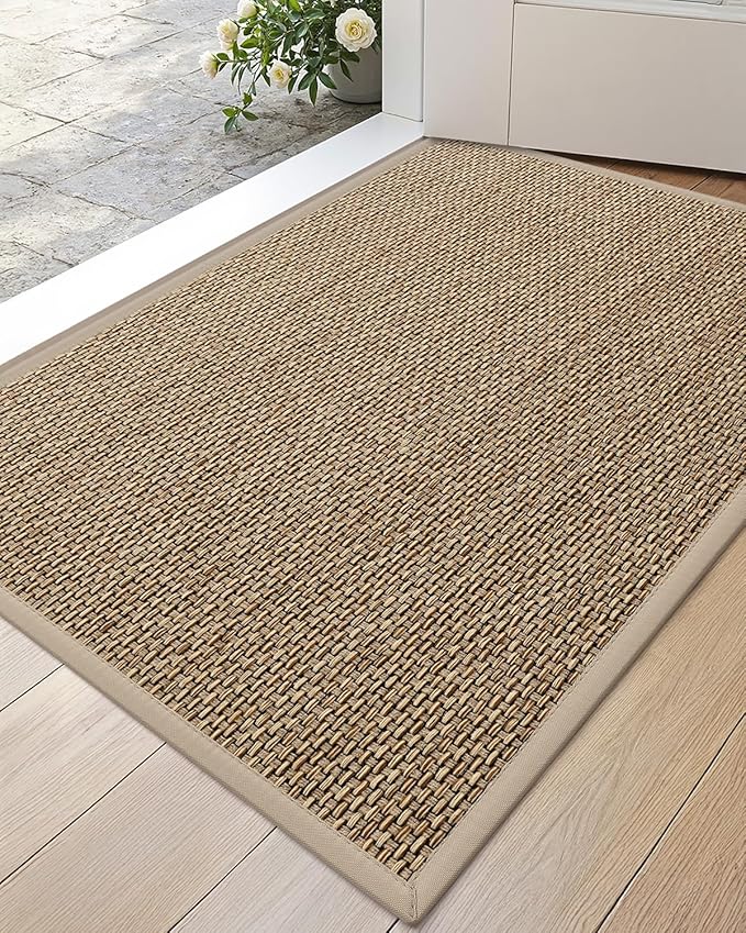 DEXI Ultra Thin Entryway Indoor Door Mat 17x30, Non Slip Rubber Backing Inside by DEXI