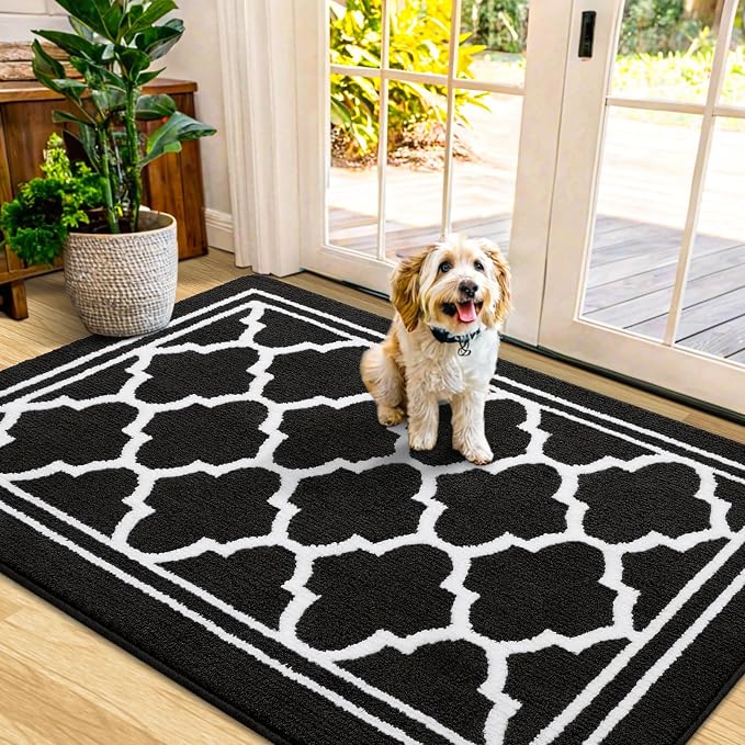Buganda Indoor Door Mat, Dirt-Resistant and Absorbent Doormat, Low Profile by Buganda