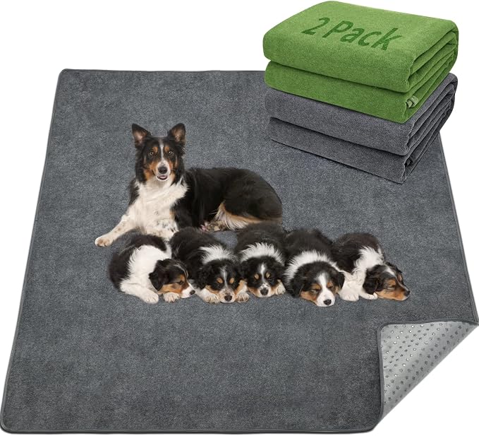 LOOBANI 2 Packs Extra Large Reusable Dog Mat by LOOBANI
