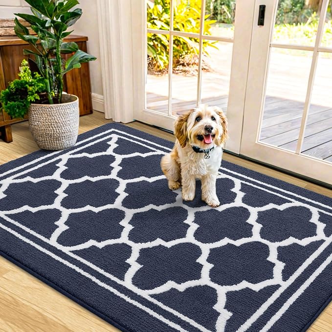 Buganda Indoor Door Mat, Dirt-Resistant and Absorbent Doormat, Low Profile by Buganda