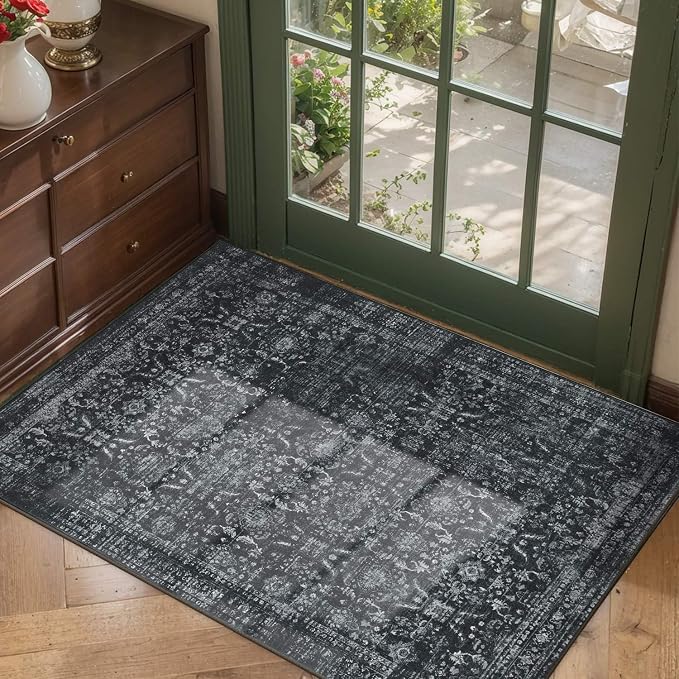 Rugxara Entryway Rug Door Mat, Washable Samll 2x3 Rug, Non Slip Area Rugs by Rugxara