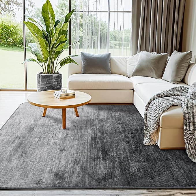 LIANLAM Washable Rug 4x6 Area Rugs - Image 2