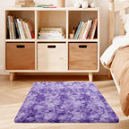 3x5 Rugs for Bedroom, Fluffy Area Rugs for Living Room, Small Fuzzy Shag Soft by Unknown