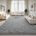 LOCHAS Ultra Soft Indoor Modern Area Rugs Fluffy Living Room Carpets by LOCHAS