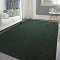 Pettop 4x6 ft Dark Green Area Rugs by Pettop
