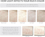 SAFAVIEH Adirondack Collection Accent Rug - Image 7