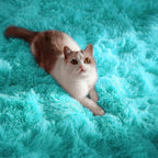 PAGISOFE Soft Fluffy Teal Area Rugs - Image 3