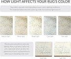 SAFAVIEH Adirondack Collection Area Rug - Image 6