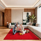 5x7 Area Rugs for Living Room, Large Fluffy Red Rugs for Bedroom, Fuzzy Shag by Unknown