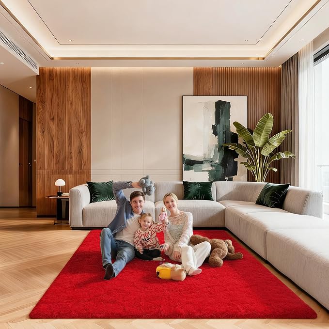 5x7 Area Rugs for Living Room, Large Fluffy Red Rugs for Bedroom, Fuzzy Shag by Unknown