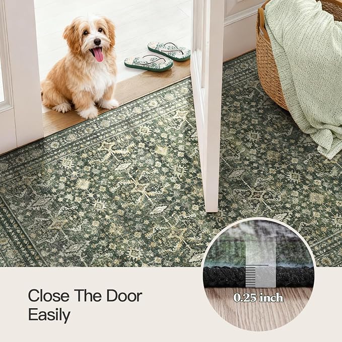 Lofus 4x6 Area Rug for Entryway, Washablee Soft Rugs for Bedroom, Living Room - Image 6
