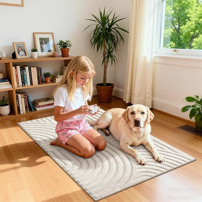 Pauwer 2x3 Washable Area Rugs for Living Room Modern Beige Solid Color Soft - Image 7