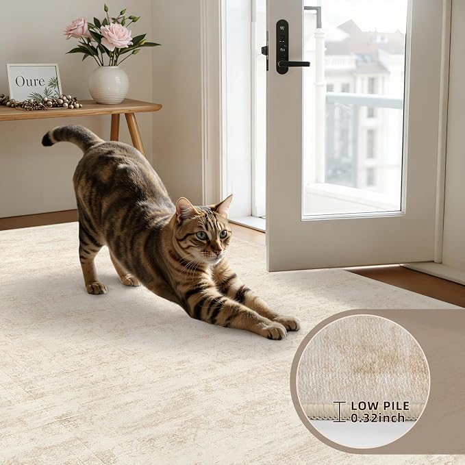 4x6 Area Rugs for Living Room: Vintage Boho Neutral Washable Rug Indoor Soft - Image 7